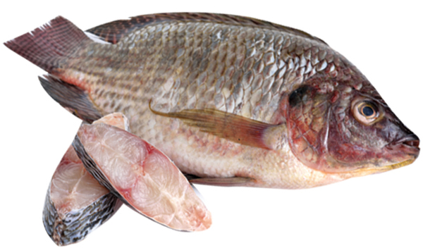 Buy Danube Bulty Fresh Fish 1Kg and Meat, Poultry & Seafood online - Danube
