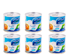 المراعي حليب مبخر ٦*١٧٠ غرام