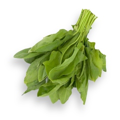 جرجير