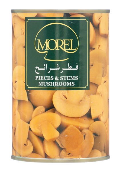 فطر شرائح