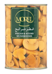 فطر شرائح