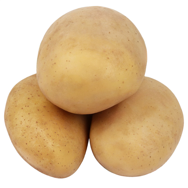 بطاطس
