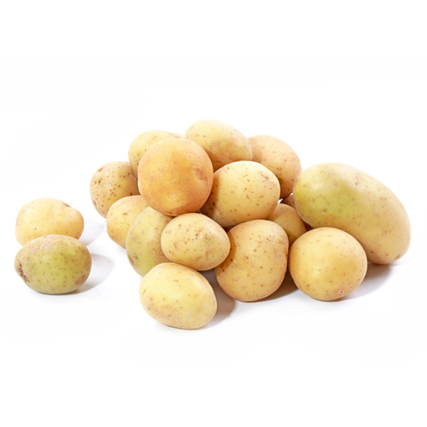 بطاطس أمريكي