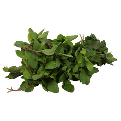 نعناع